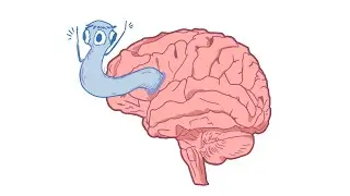 Brain Eating Worms? Pork Worms | Taenia Solium