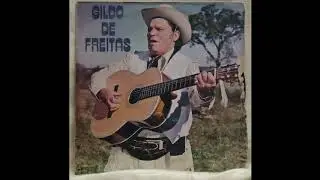 Pedidos de um Gaúcho - Gildo de Freitas e Marco Aurélio