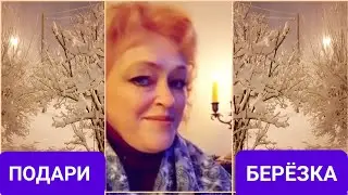 Подари берёзка. Пролетели в миг ночи летние.