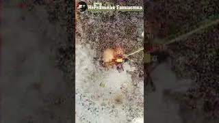 B-C 155 58 просто так получилось #миртанков