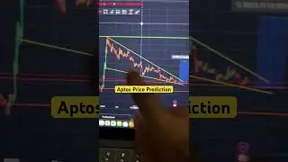 Aptos (APT) Price Prediction 2024-25
