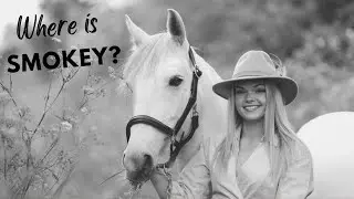 WHERE IS SMOKEY?