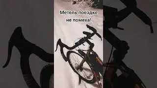 Метель поездке не помеха!