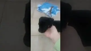 Молли оцените пж! ☺☺☺☺☺