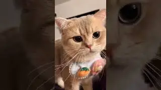 So lovely 🥰