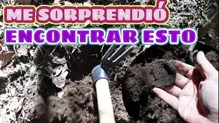 Vale Oro -buscando tesoros #oro #detectordemetales #tesoros#playa #deteccion #travel