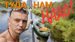 Сплав по лосиным тропам река Держа