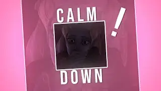 Ahsoka & Chuchi || Calm down