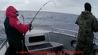 soroya marzec 2024