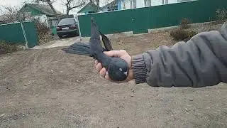 15 апреля 2024 г.