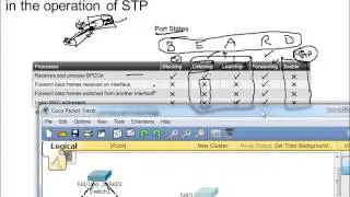 CCNA3 - Clase 5: STP (Spanning Tree Protocol)