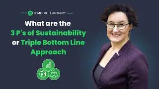 What are the  3 P's of Sustainability or the Triple Bottom Line Approach?