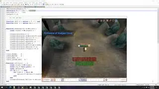 Flyff Solo Instance Dungeon Test 1