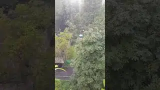 Ливни Москвы