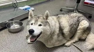 В клинике2