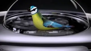 Jaquet Droz, The charming bird