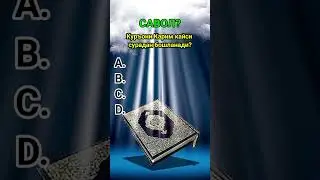 Savol? 003