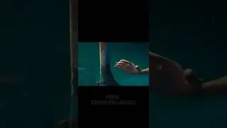 Los peces pirhana se están comiendo esa vaca 😱resumen de la película 
