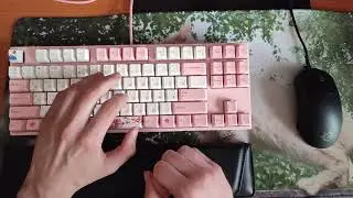 Varmilo Sakura VA87M Cherry MX Blue Shumoff Germeton 7 foam