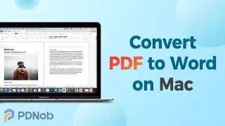2022 How to Convert PDF to Word on Mac [2 Ways]