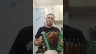 прогулки по воде наутилус Помпилиус (детская гармошка калинка)