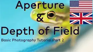 What is Aperture? What is Depth of Field?
