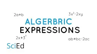 Algebraic Expressions Explained!  |  Basic Algebra