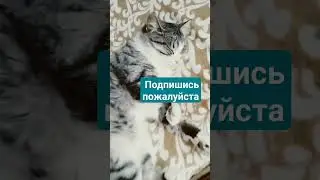 10 ноября 2023 г.