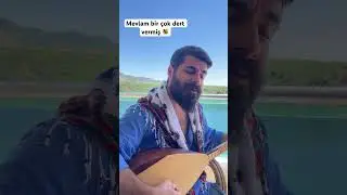 Mevlam bir çok dert vermiş 💐 #alevi #etnic #kürtçe #cover #music #türkü #türkülerimiz #deyiş