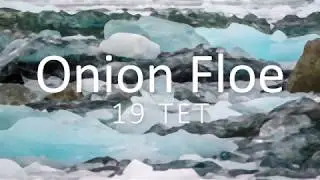 19 TET - Onion Floe