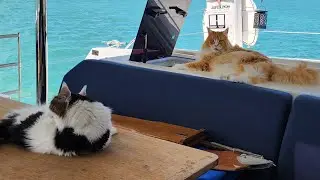 Realtime - On Anchor in Biscayne Bay - April 30, 2024