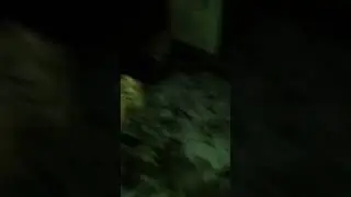 МЕНЯ ПОДСТРЕЛИЛ БОМЖ