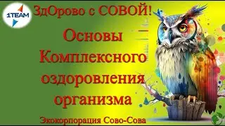 ЗдОрово с Совой. Опыт использования и результаты применения продукции. А . Рахимова. 05.04.2024