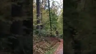 Женщины бывают разные…