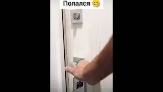 Подстава