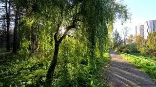 Ловим Осень в Ботаническом саду. Екатеринбург