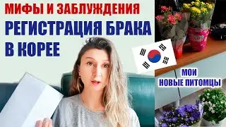 Marriage Registration in Korea - Pitfalls and Misconceptions \ New Hobby