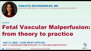 Fetal Vascular Malperfusion: From Theory to Practice