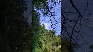 Ensaio fotográfico ao ar livre 