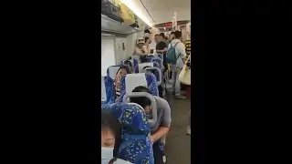 еще одна шортс