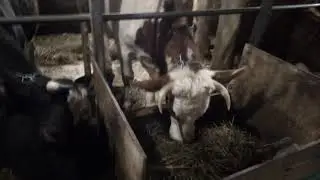 Что случилось с Малышкой? Неожидали!