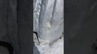 Снятие старой краски с памятника.