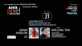 Pixel101 - Photographer, Videography of the Month with William Tan