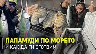 Морето завря от паламуди!... / Как да ги сготвим най-вкусно? - 1 част