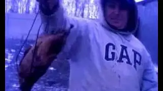 утка по пекински!новинка2018 на новый год