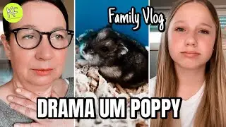 Drama um Isi‘s Hamster Poppy 🐹 Zeit für mich | Family Vlog KLEINE FAMILIENWELT