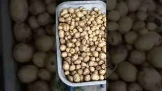 Итог утреннего копа.