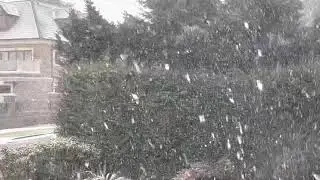 Heavy Snow in London - Deepest snow cover for many years.