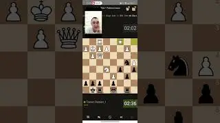 Шахматная партия #2