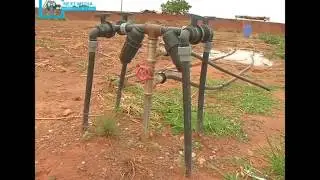Maraichage à Bamako et environ